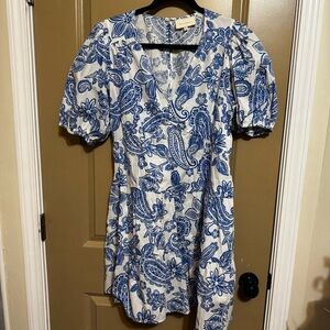 Floral Blue and White Dress